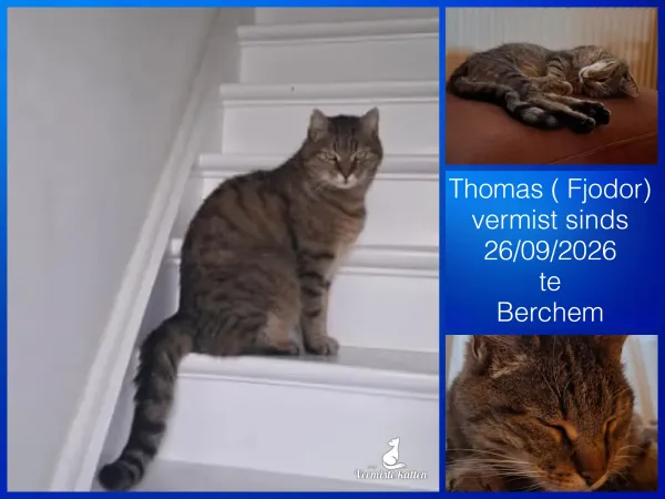 Thomas / Fjodor