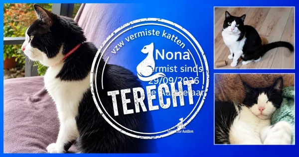 Nona