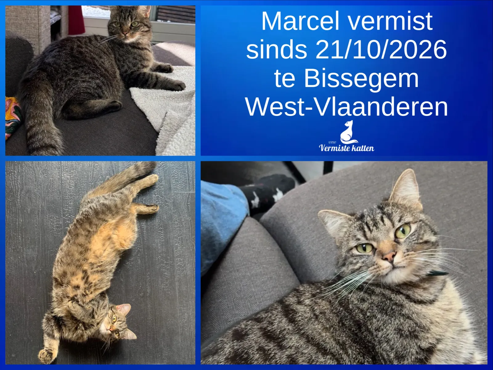 Marcel