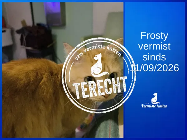 Frosty 