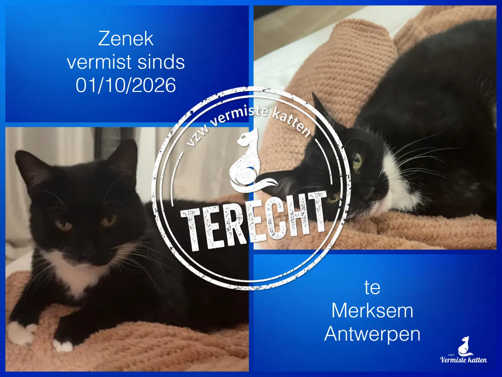 Zenek 