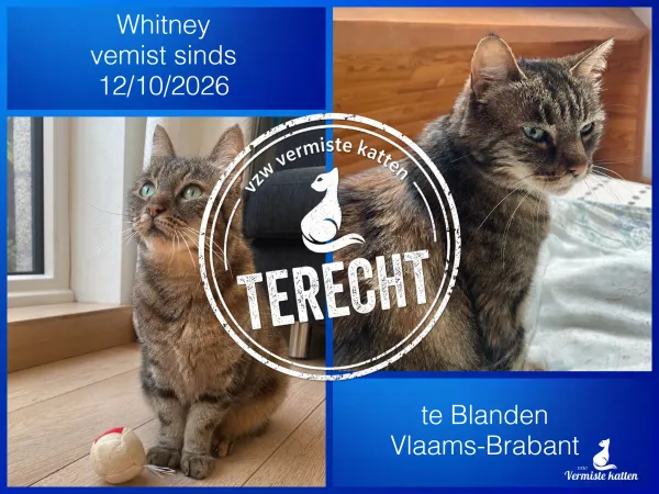 Whitney 